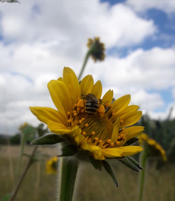 foto:Sandra Perez Aguilar - lo hecho en México
