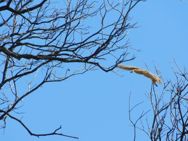 foto:Jose candido Villegas Escobedo - lo hecho en México