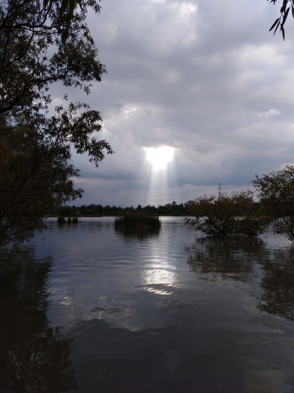 foto:Juan Valenzuela Rodríguez - lo hecho en México