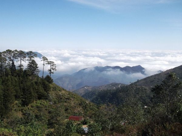 foto:DEHYSY YARELI CORDOBA SANDOVAL - lo hecho en México