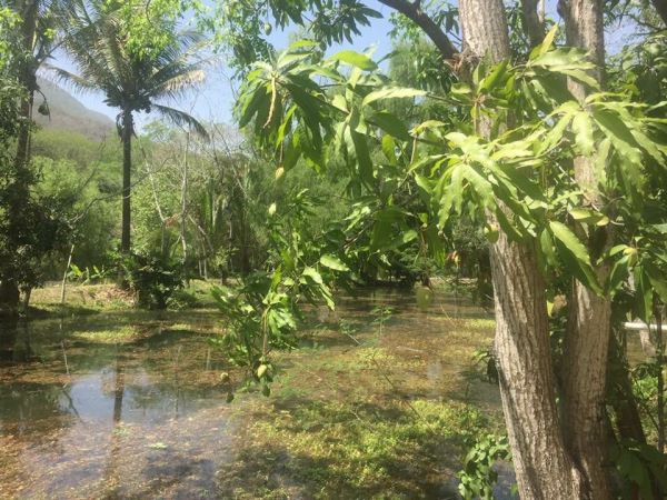 foto:Patricia Eugenia Serna  Mercado - lo hecho en México