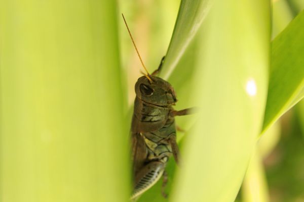foto:Diana Azucena  Quezada  Avalos - lo hecho en México