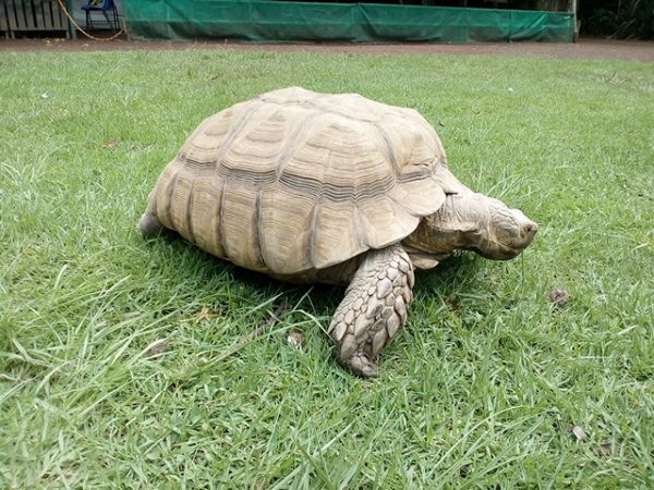 foto:Damian Uriel Hernández Balderas - lo hecho en México