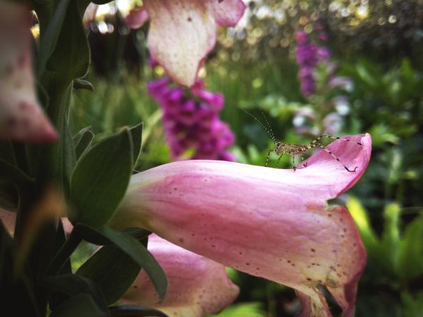 foto:Kathia Ximena Estrella Chávez - lo hecho en México