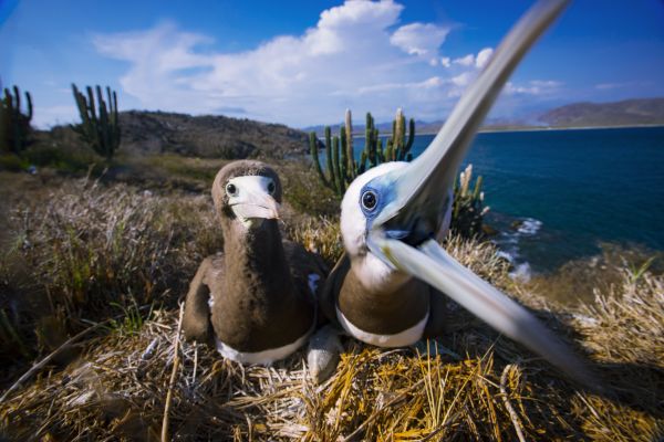 foto:tarsicio de jesus  amaral figueroa - lo hecho en México