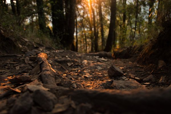 foto:Rubén Israel Medina Cano - lo hecho en México