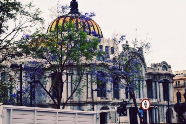 foto:Andrea Molina Campbell - lo hecho en México
