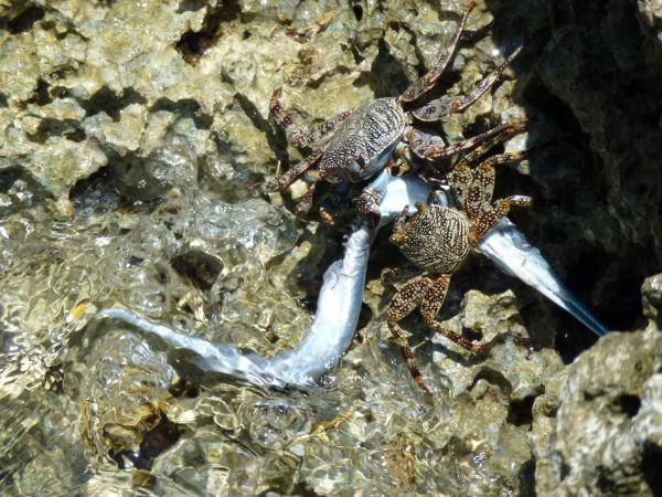 foto:Yamel Fuentes Fernández - lo hecho en México