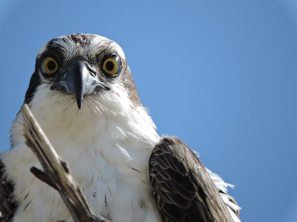 foto:NADIA SELENE AYON RAMIREZ - lo hecho en México