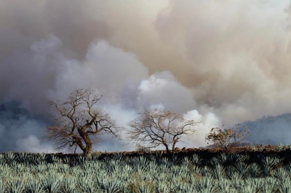 foto:Natalie Schafers Navarro - lo hecho en México
