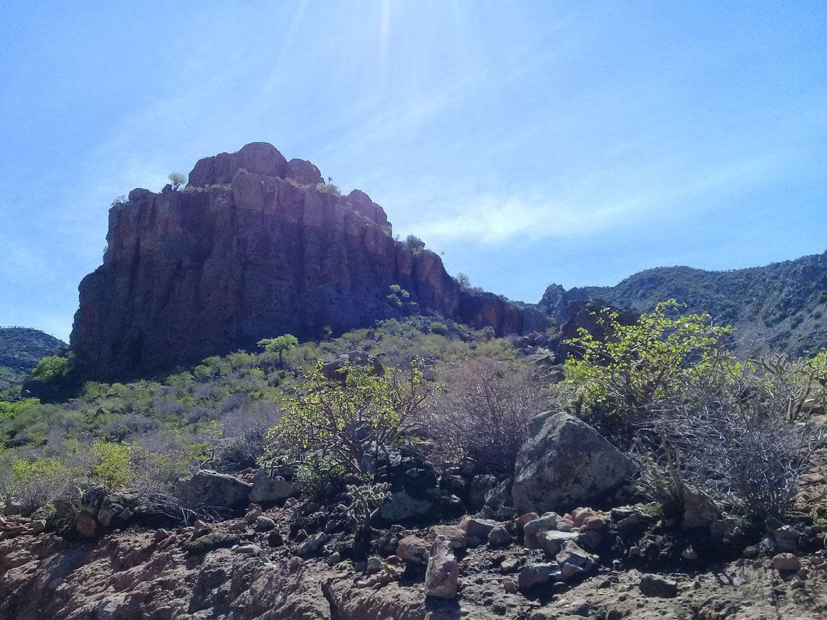foto:Nallely  Edith   Guevara  Martínez  - lo hecho en México