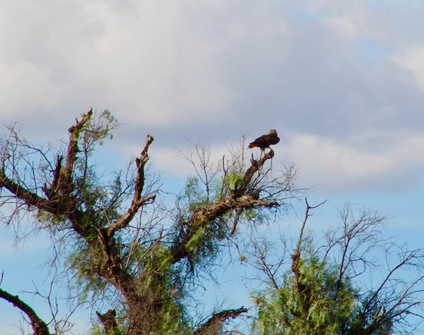 foto:Juan Carlos OLVERA Moreno - lo hecho en México
