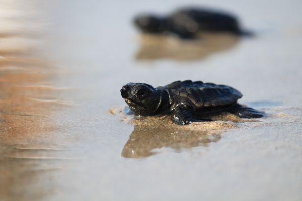 foto:Silvia Galván Ortiz - lo hecho en México