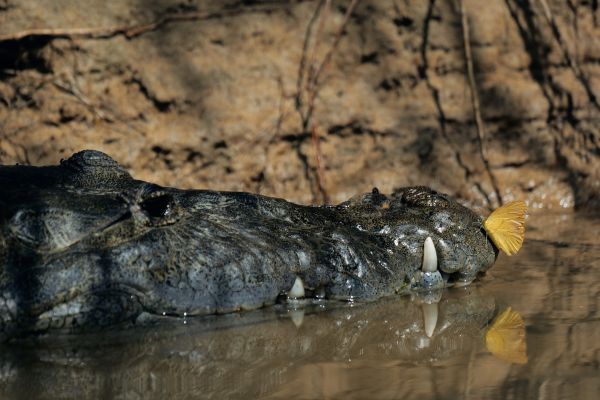foto:Oscar Rovelo Hernandez - lo hecho en México