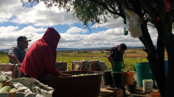 foto:Rogelio Reyes Calderon - lo hecho en México