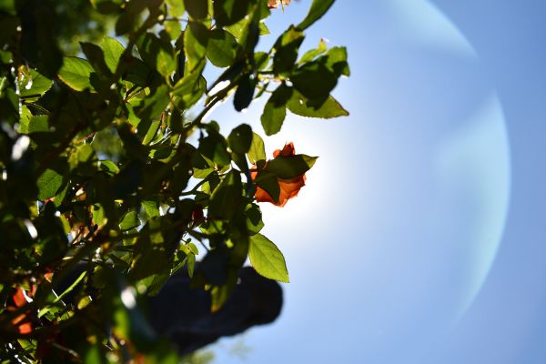 foto:Tixlia Marina Zubia  Rios - lo hecho en México