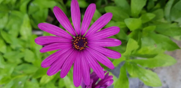 foto:Nelly Alejandra Cervantes Martínez - lo hecho en México