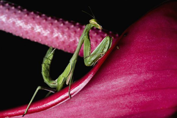 foto:Fredy Sánchez Gallegos - lo hecho en México