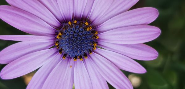 foto:Socorro Martínez Mendoza - lo hecho en México