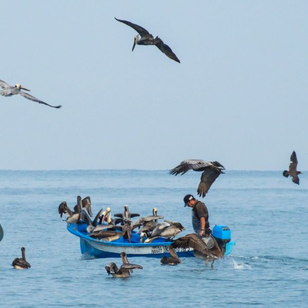 foto:Cristina Silva Hernández - lo hecho en México