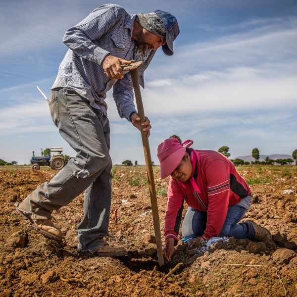 foto:CARLOS ARTURO LOPEZ DE LARA RANGEL - lo hecho en México