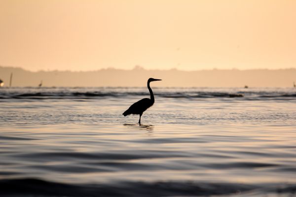 foto:Daira Alejandra Benavides Gracia - lo hecho en México