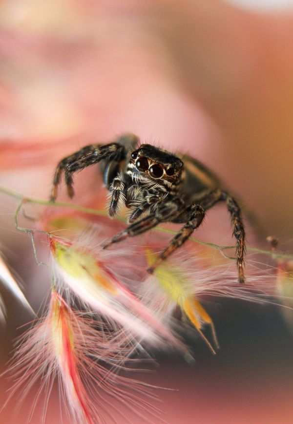 foto:Teresita de jesús Lasso  López - lo hecho en México