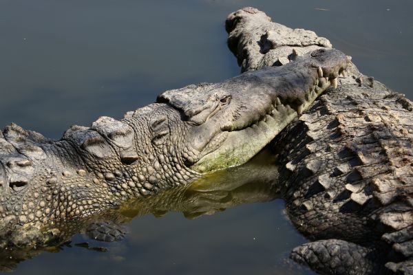 foto:Gerardo Ramos León - lo hecho en México