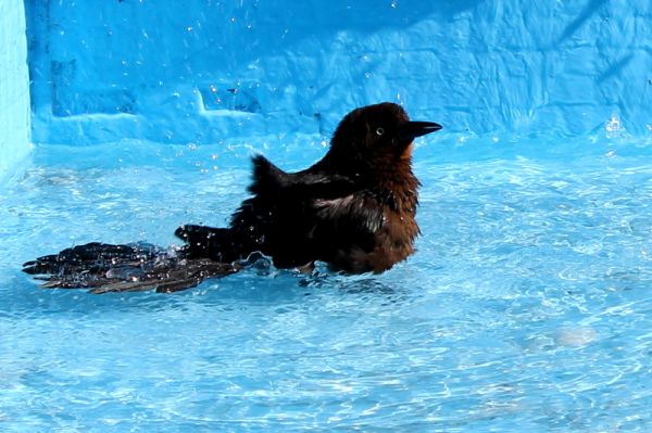 foto:Patricia Gamboa Martínez - lo hecho en México