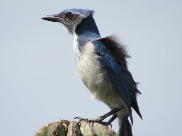 foto:ASDRUBAL AARON GUTIERREZ ZAMORA GARCIA - lo hecho en México