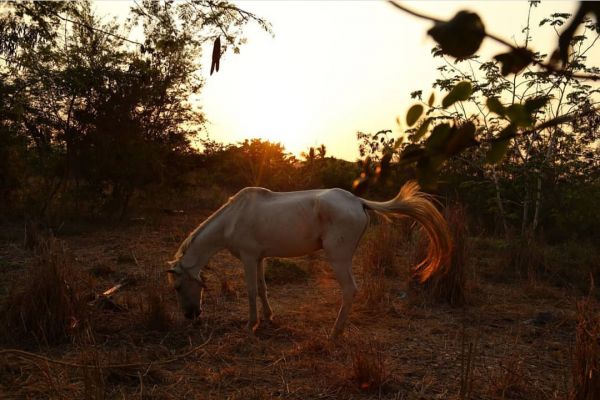 foto:Raul  Beyruti  Velázquez  - lo hecho en México