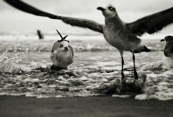 foto:Juan Carlos  Carrillo Barrón  - lo hecho en México