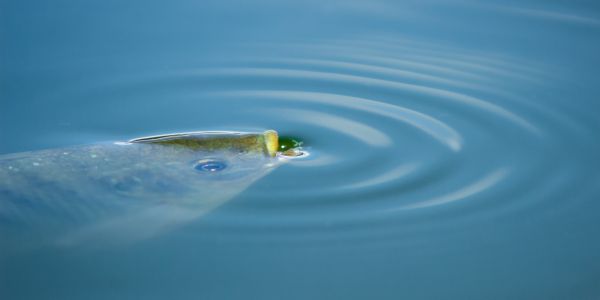 foto:Orlando Martínez García - lo hecho en México