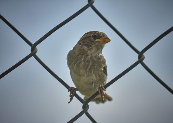 foto:Diego Said Martínez Villafañe - lo hecho en México