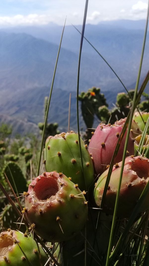 foto:Graciela  Torres  Arellano - lo hecho en México