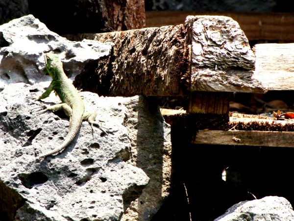 foto:Giselle María Bravo Suarez - lo hecho en México