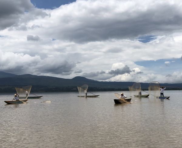 foto:Jesus Ignacio Arvizu Zamudio - lo hecho en México