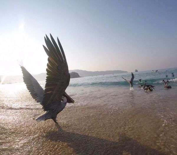 foto:Mariana  Garcia Plata - lo hecho en México