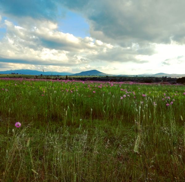 foto:Fabián Lizardi Pedraza - lo hecho en México