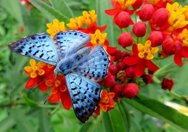 foto:Rosa Ivette Vazquez  Estrada  - lo hecho en México