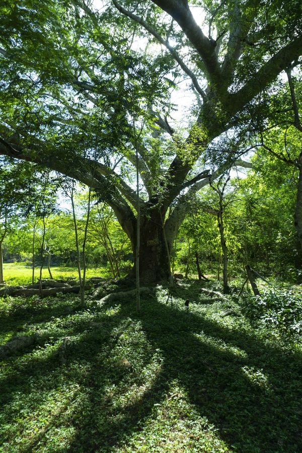 foto:William May Tuyub - lo hecho en México