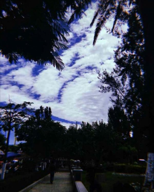 foto:Naomi Amely Domínguez  Garcia  - lo hecho en México