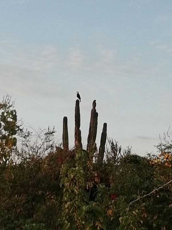 foto:Abraham Sil Hernandez - lo hecho en México