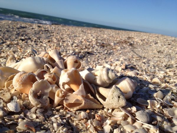 foto:Irma Cristina Villaseñor Eguia - lo hecho en México