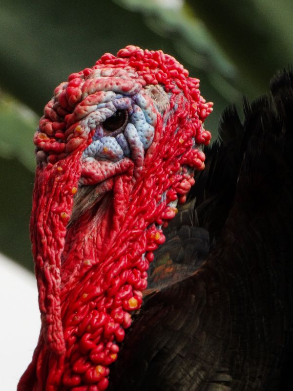 foto:Cristina Silva Hernández - lo hecho en México