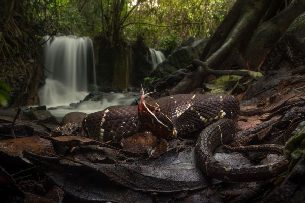 foto:Juan Manuel  Gonzalez Villa - lo hecho en México