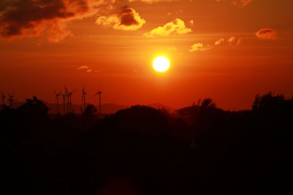 foto:Victor Manuel Silva Franco - lo hecho en México