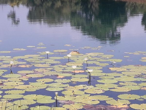 foto:Isabel Mendoza Corzo - lo hecho en México