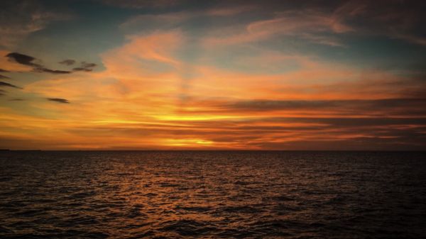 foto:Jorge Magallon Marine - lo hecho en México