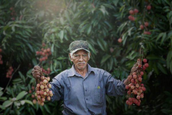 foto:Israel Reyes Zavala - lo hecho en México